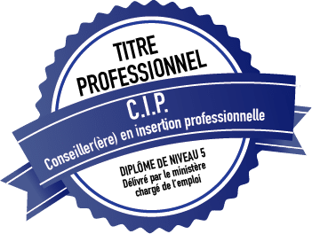 Formation Conseiller(ère) en Insertion Professionnelle (CIP)  Angers